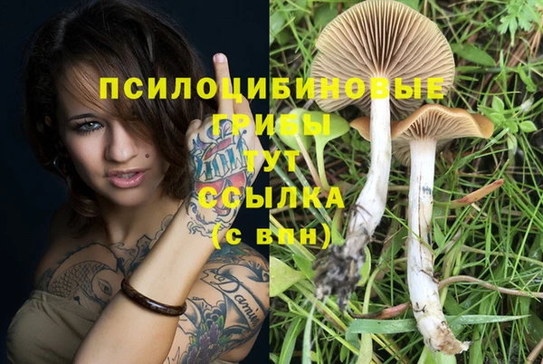 mdma Пересвет